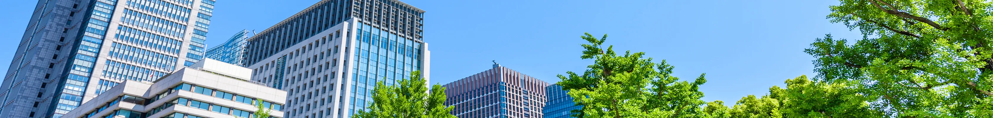 企業情報